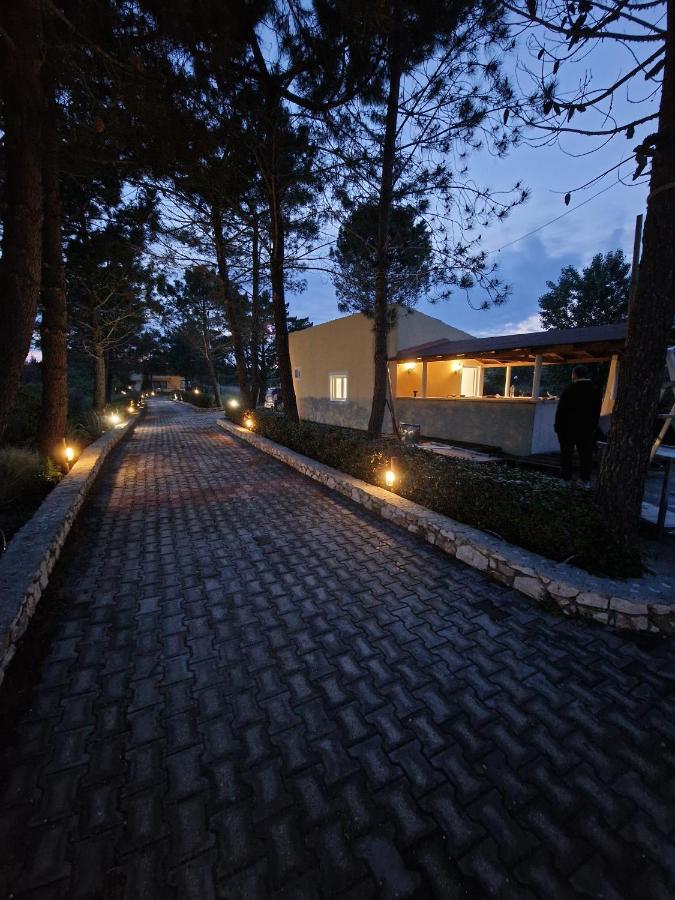 Apartment Alexandra 3 *